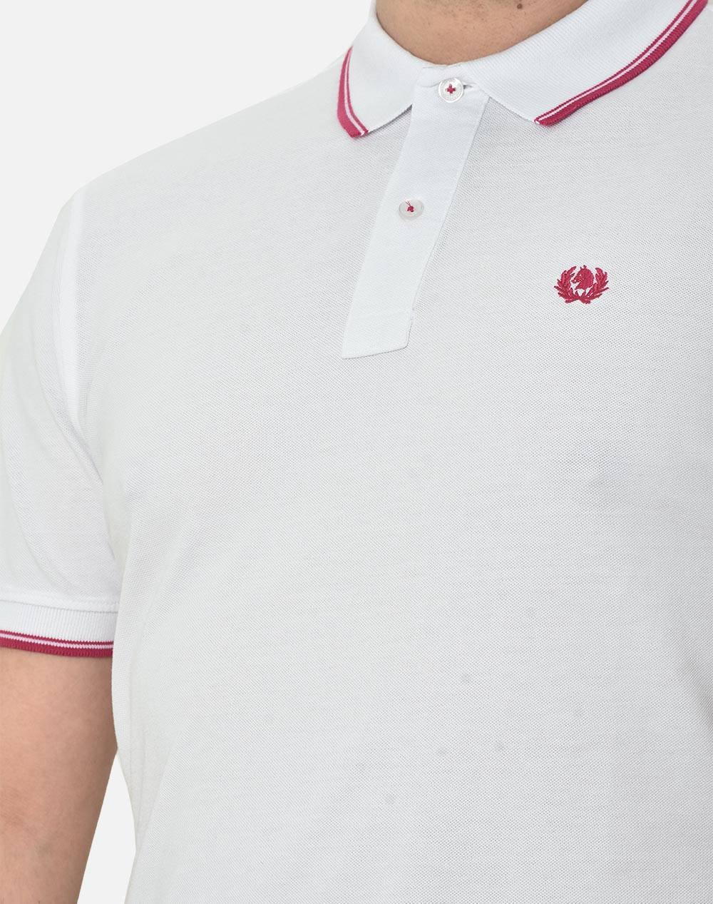 ASCOT POLO